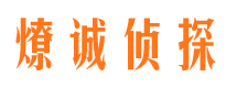 黎平资产调查